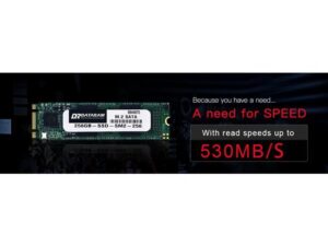 هارد درایو اس اس دی (SSD) دیتارم (Dataram) مدل SSD-SM2-256 ظرفیت 256 گیگابایت فرم فاکتور M.2-2280 رابط SATA