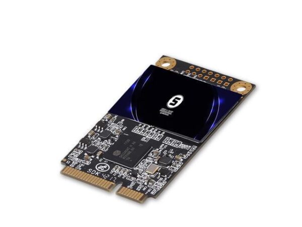 هارد درایو اس اس دی (SSD) Dogfish مدل Shark-MSATA-256G ظرفیت 256 گیگابایت فرم فاکتور mSATA