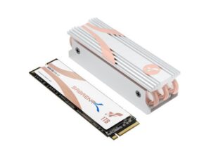 هارد درایو اس اس دی (SSD) Sabrent مدل SB-RKTQ4-HTSS-1TB ظرفیت 1 ترابایت فرم فاکتور M.2-2280 رابط NVMe